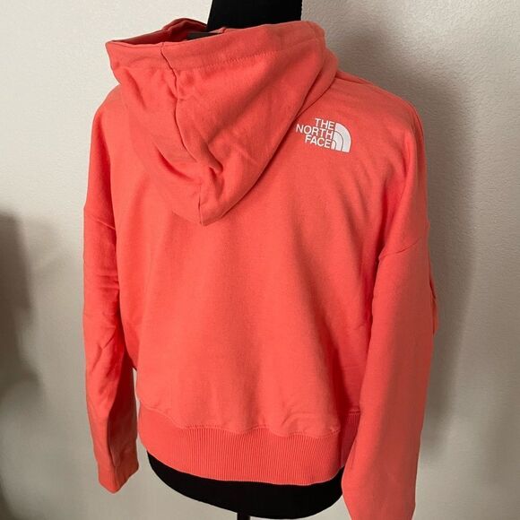 NWT The North Face Logo Play Hoodie - Picture 10 of 11